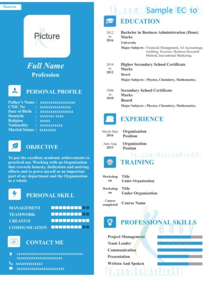 Modern Professional Resume Template Price Starting From PKR-1500